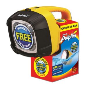 Eveready Dolphin 235 lumen LED Lantern (with 6V Battery)