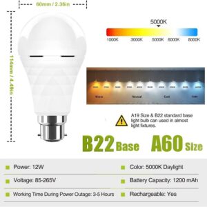 Neporal Emergency Rechargeable 5000K Daylight LED B22 Bulb (2-Pack)